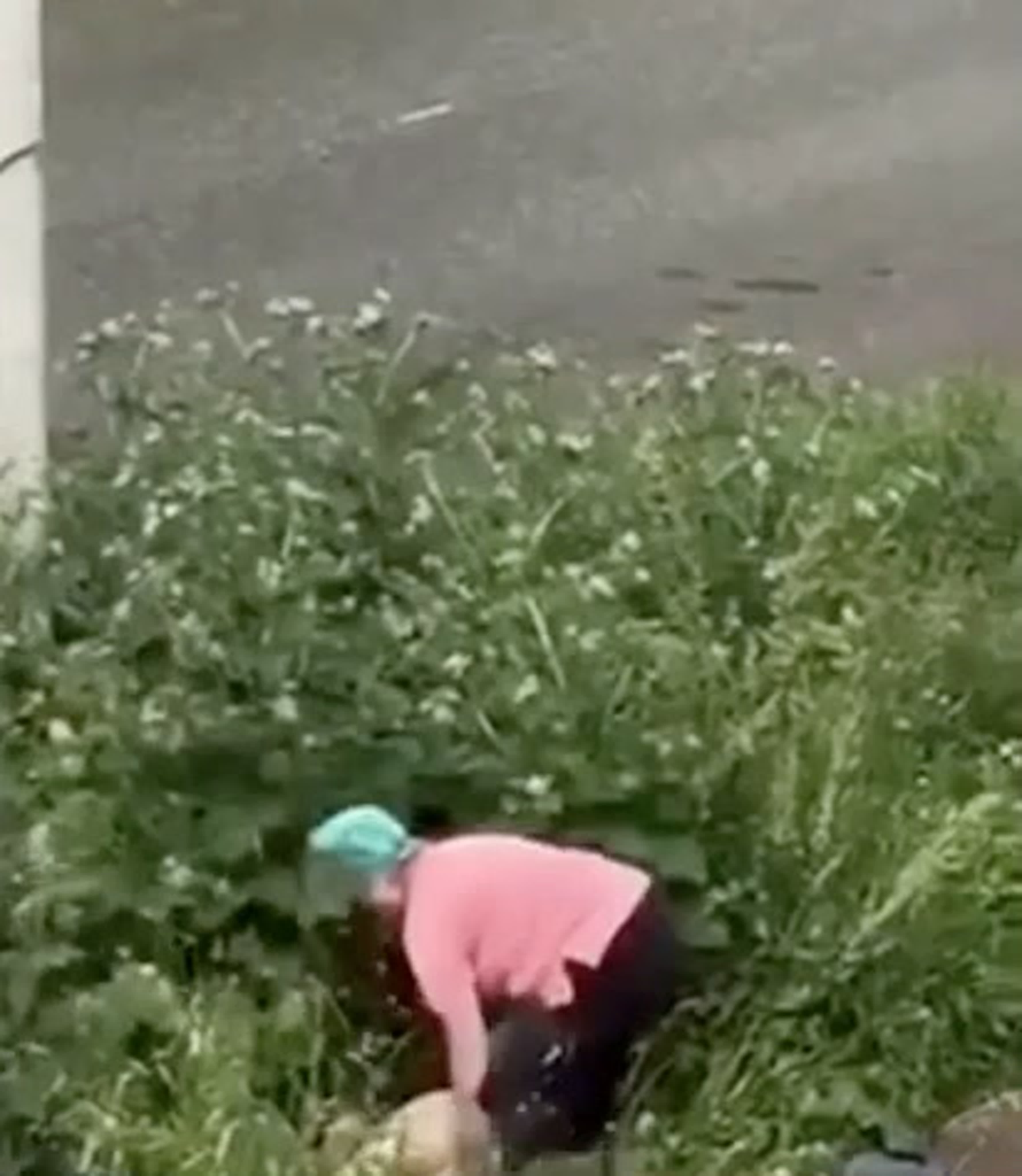 Екатерина Волкова порно видеода күйеуімен жыныстық қатынасқа түскен.