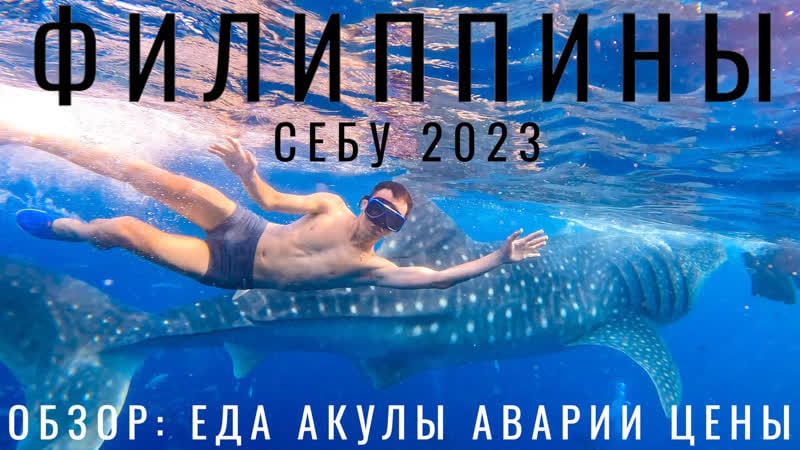 Филиппины первый раз попали в аварию обзор жизни на острове себу philippines цены еда байк акулы