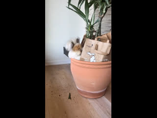 Таверна юмора