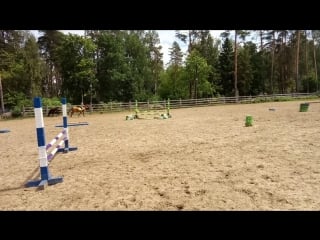 Ира и баббита/конкурная тренироа