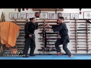 Bujinkan greece koto ryu with weapons (o gyaku)