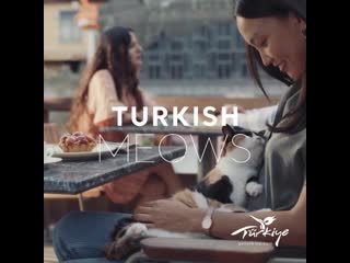 Turkish meows