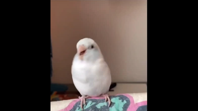 Утренние пляски