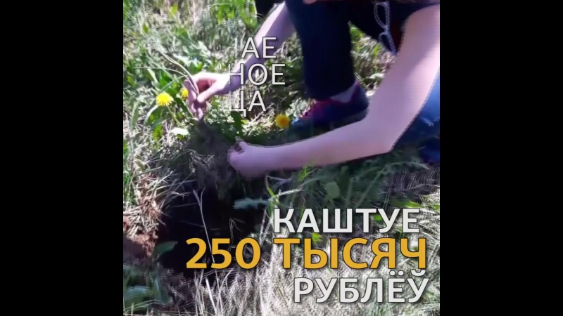 Дуброва цудоўных узгоркаў як выхад у адкрыты космас