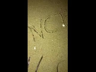 Свиданка туенов на ночном пляже