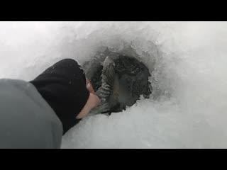 Trim vid 20210107 100813 001 mp4