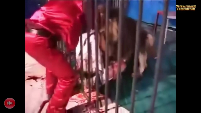 Страшные и жуткие моменты, снятые на видео 18