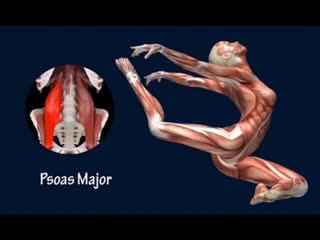 Sls how to stag leap dance muscle training program stag jump easyflexibility