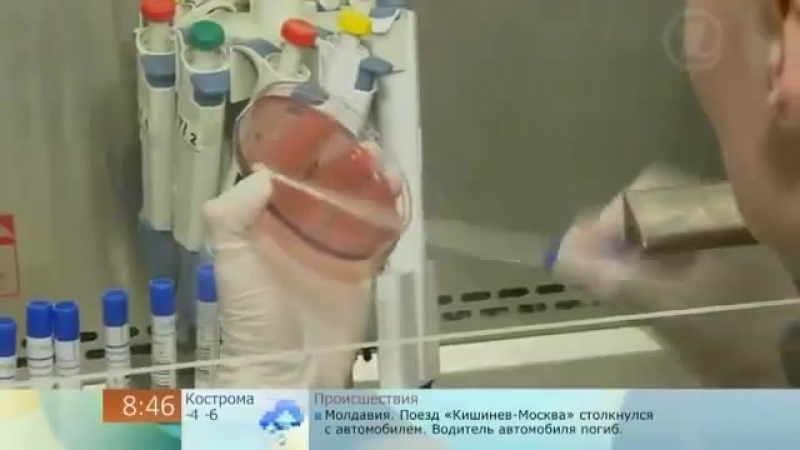 Вирусы атакуют!