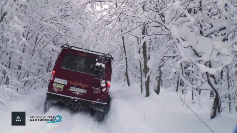 «соболь 4х4» пробивает колею в зимнем лесу