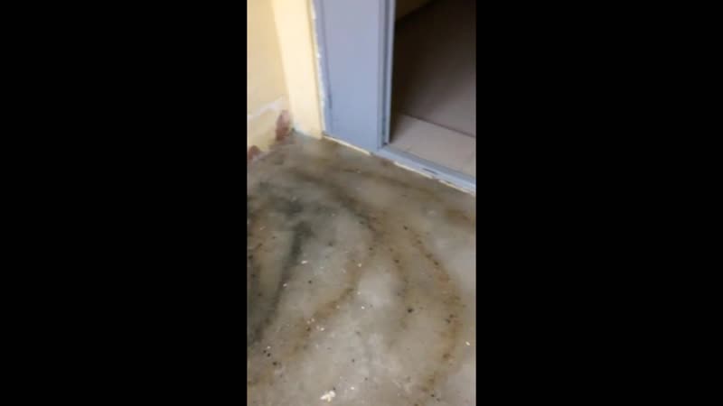 Чудо строители установили ливнёу в подъезде теперь здесь «катушка»…