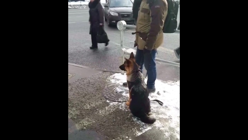 Ханни делает успехи