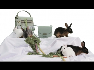 Baby bunnies and springs hottest handbags