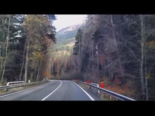 Bassline junkie autumn