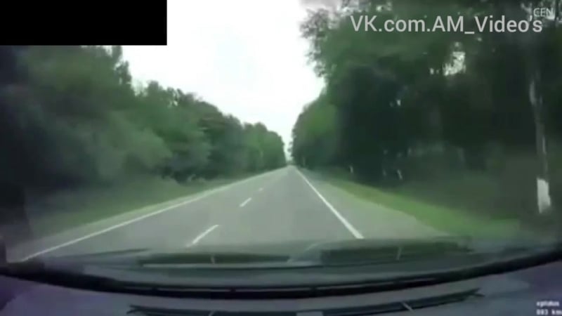 Видео расстрела депутата чеченского парламента мухмада асхабова