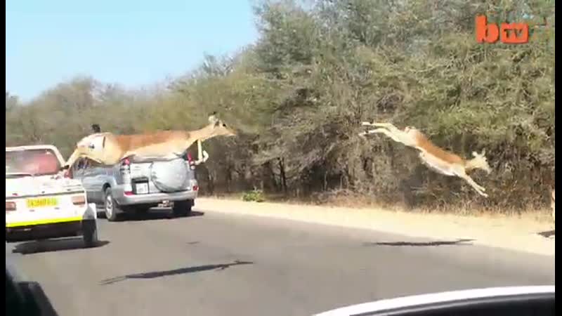 Банковские служащие шутят