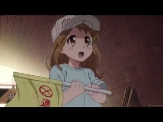 【hataraku saibou】 that, that do you need a doctor?