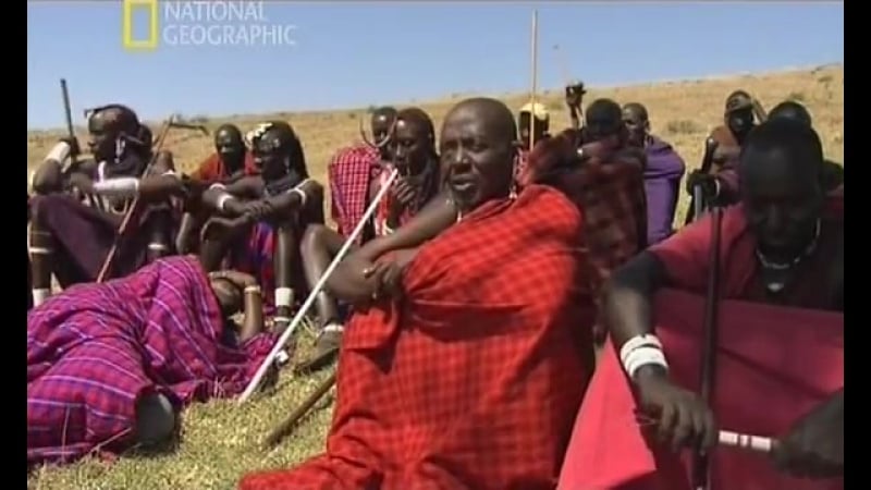 Племена африки массаи / этнография