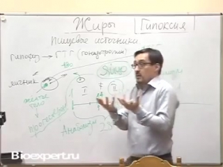 Секреты женской психология секс и месячные!