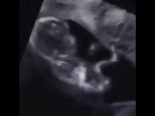 Delicious finally some good fking food mp4