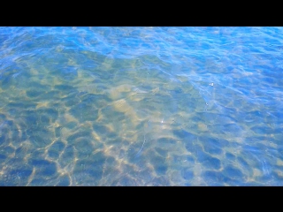 Кристально чистое #азовскоеморе / the crystal clear sea of #azov