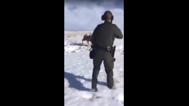 Разнял драку