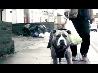 Sleepy time ghost x bazza ranks x shumba youth x natty campbell rip it up (fleck rmx)