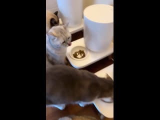 Lisa ig story 221225