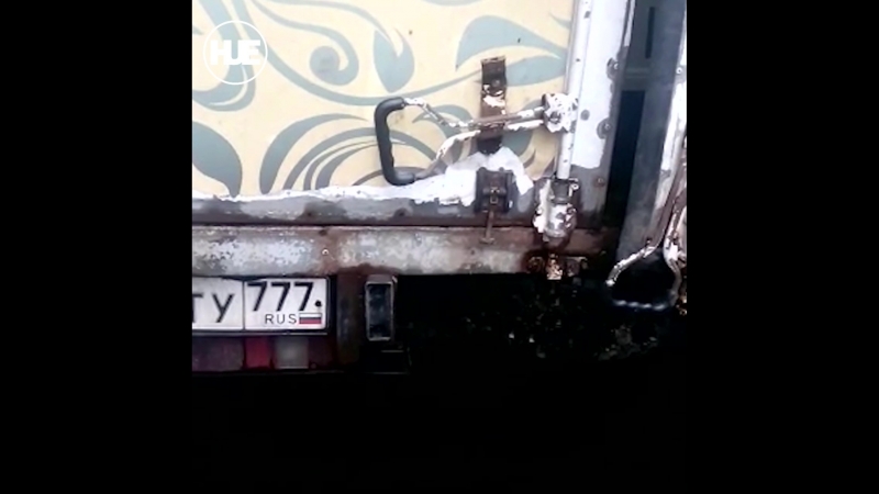 Прохожая в москве сняла на видео газель с мопсами, шпицами и чихуахуа