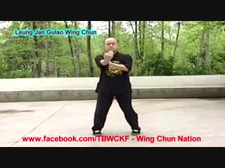 Dragon shogun dojo arkansas leung jan gulao wing chun complete