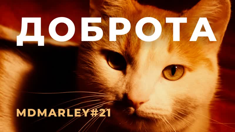 Доброта / метроном дедушки марли
