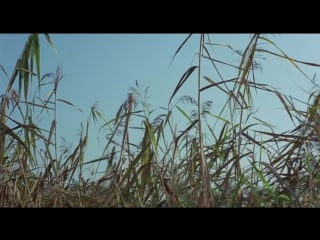 Ingrid steeger die sexabenteuer der drei musketiere (1971)