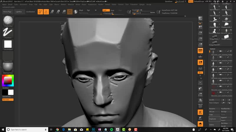 Structure porn video – 8 structure of the nose
