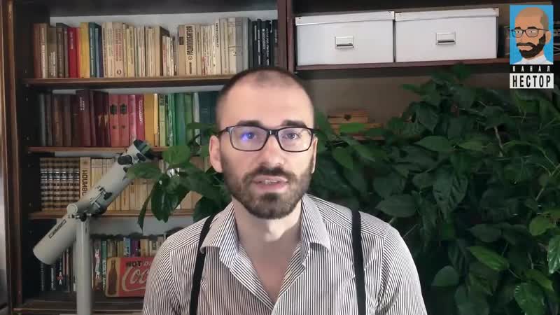 Как устроен глобальный курятник