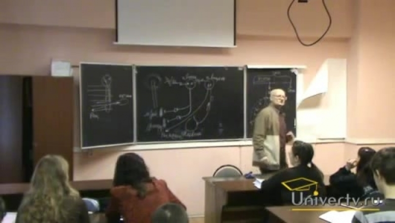 Лекция 10 функции структур продолговатого и среднего мозга, ч 1
