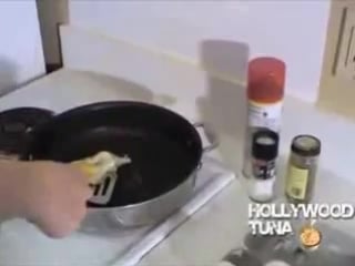 Hollywoodtuna bachelor with aria giovanni fried eggs