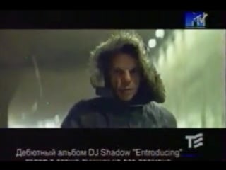 Unkle rabbit in your headlights