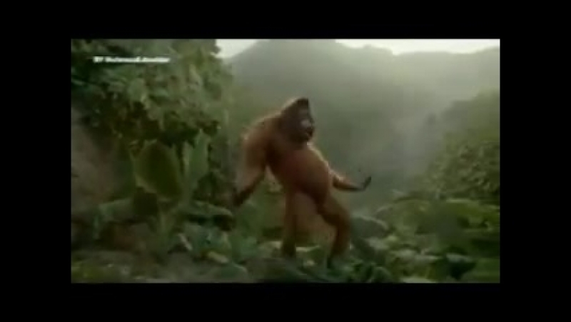 Туған күніңмен бауырым! mp4