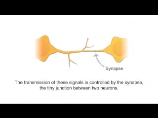 Имитация нейронов с искусственным синапсом mimicking neurons with an artificial synapse nist 2018 years video