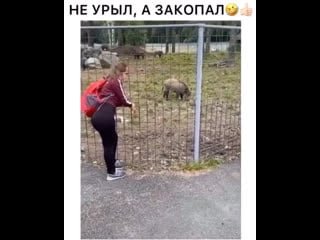 Родня приехала