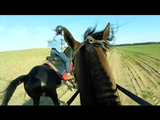 Horse riding (gopro hero4 session) экстремальная верховая езда