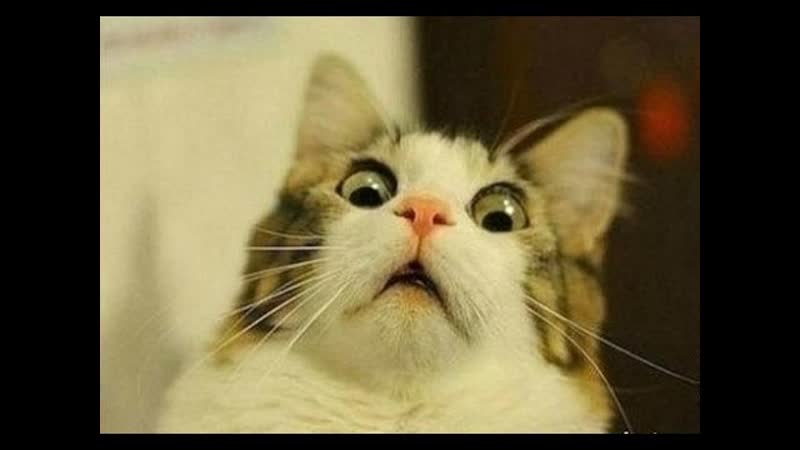 Детейлинг жены