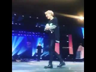 Stop what you’re look at how happy and jumpy hobi was collecting all the littl