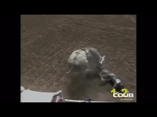 Lending a helping butt / thebullwins