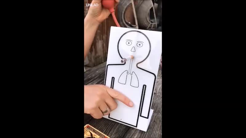 Капля никотина