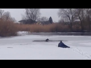 Парень спас молодые, провалившуюся под лед (vhs video)