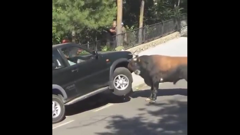 Заметите одну вещь на данном видео?