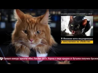 News mews #1 биткоин, iphone x и lada granta