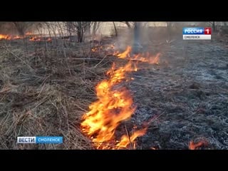 В смоленской области от палов травы уже выгорело свыше 3 тысяч гектаров земли