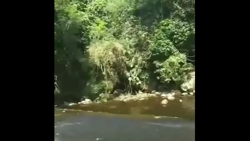 Slidin porn video – Rock slidin'